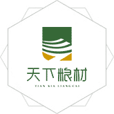 操B在线观看